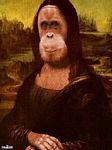 pic for MONA MONKEY